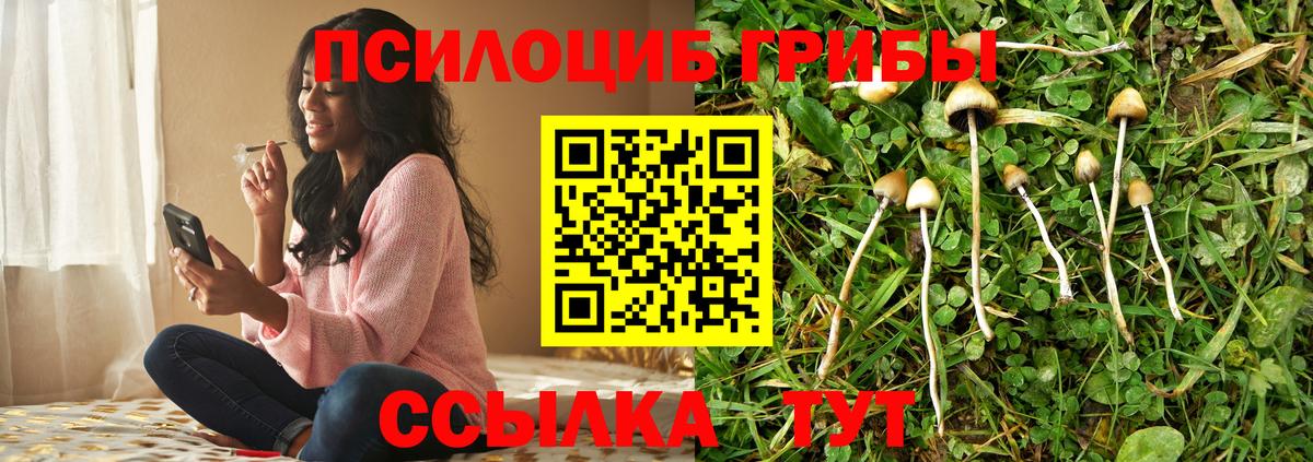 Дивногорск  Галлюциногенные грибы мухоморы  Вход с VPN  Псилоцибиновые грибы Psilocybe 