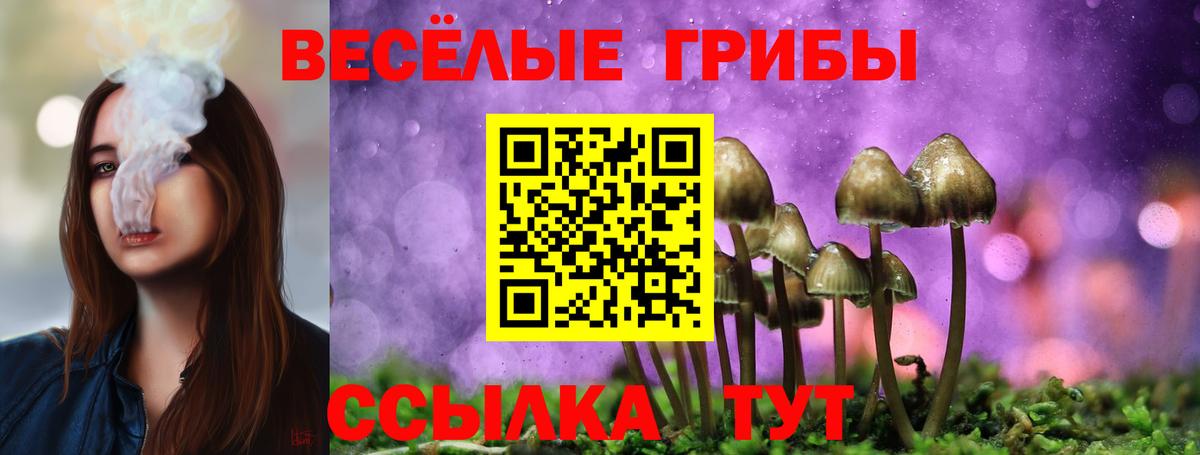 Псилоцибиновые грибы мухоморы Дивногорск